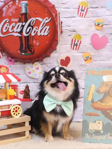 20230902ごまくん